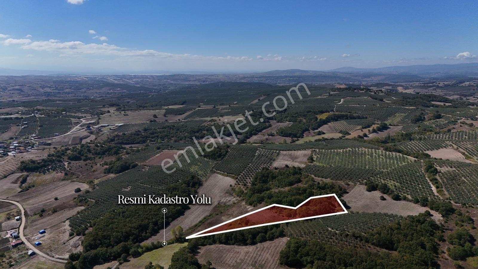 Bursa Mudanya Hançerlide 6.100 M² Satılık Tarla — fotoğraf 10