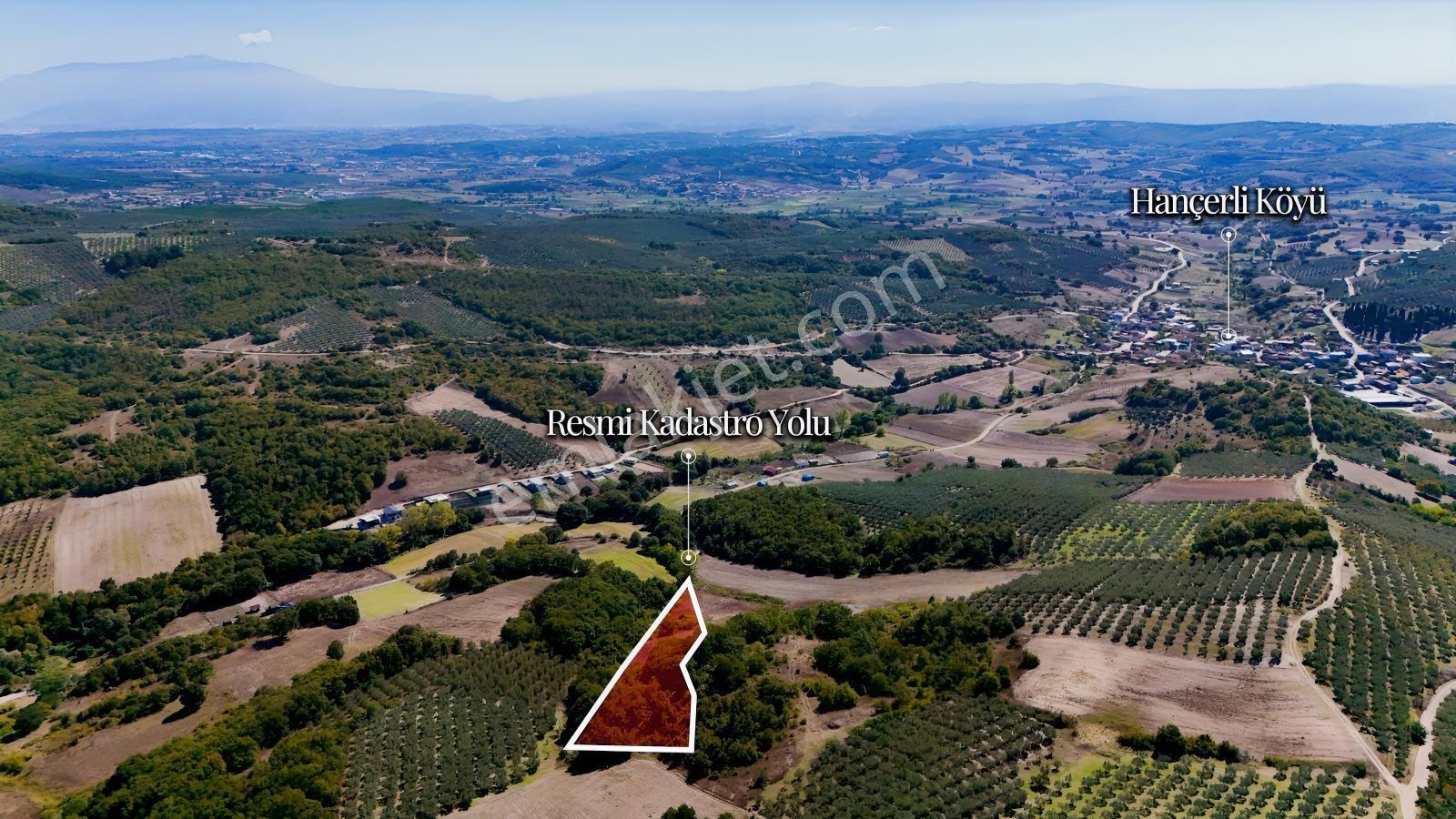 Bursa Mudanya Hançerlide 6.100 M² Satılık Tarla — fotoğraf 11