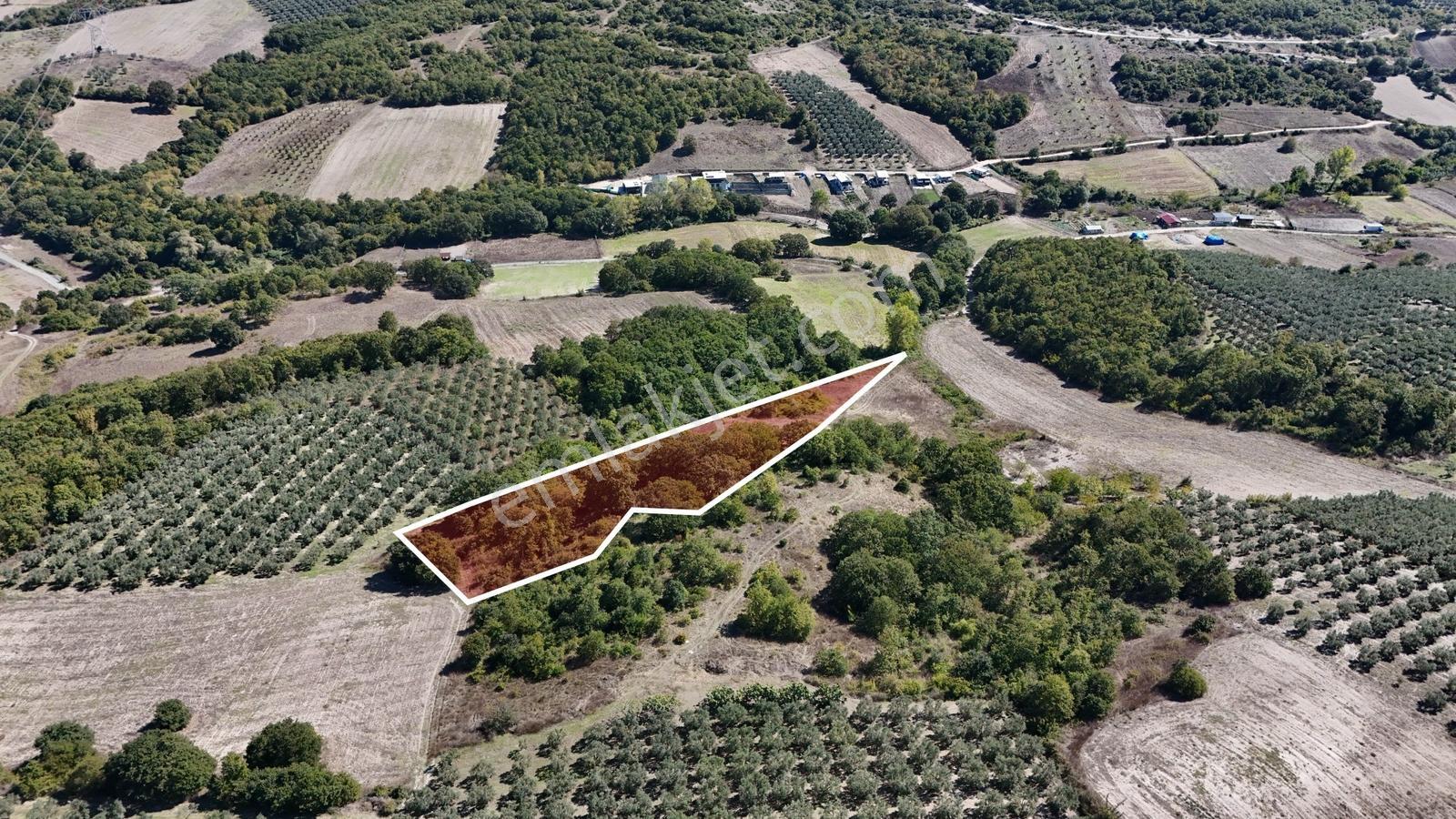 Bursa Mudanya Hançerlide 6.100 M² Satılık Tarla — fotoğraf 15