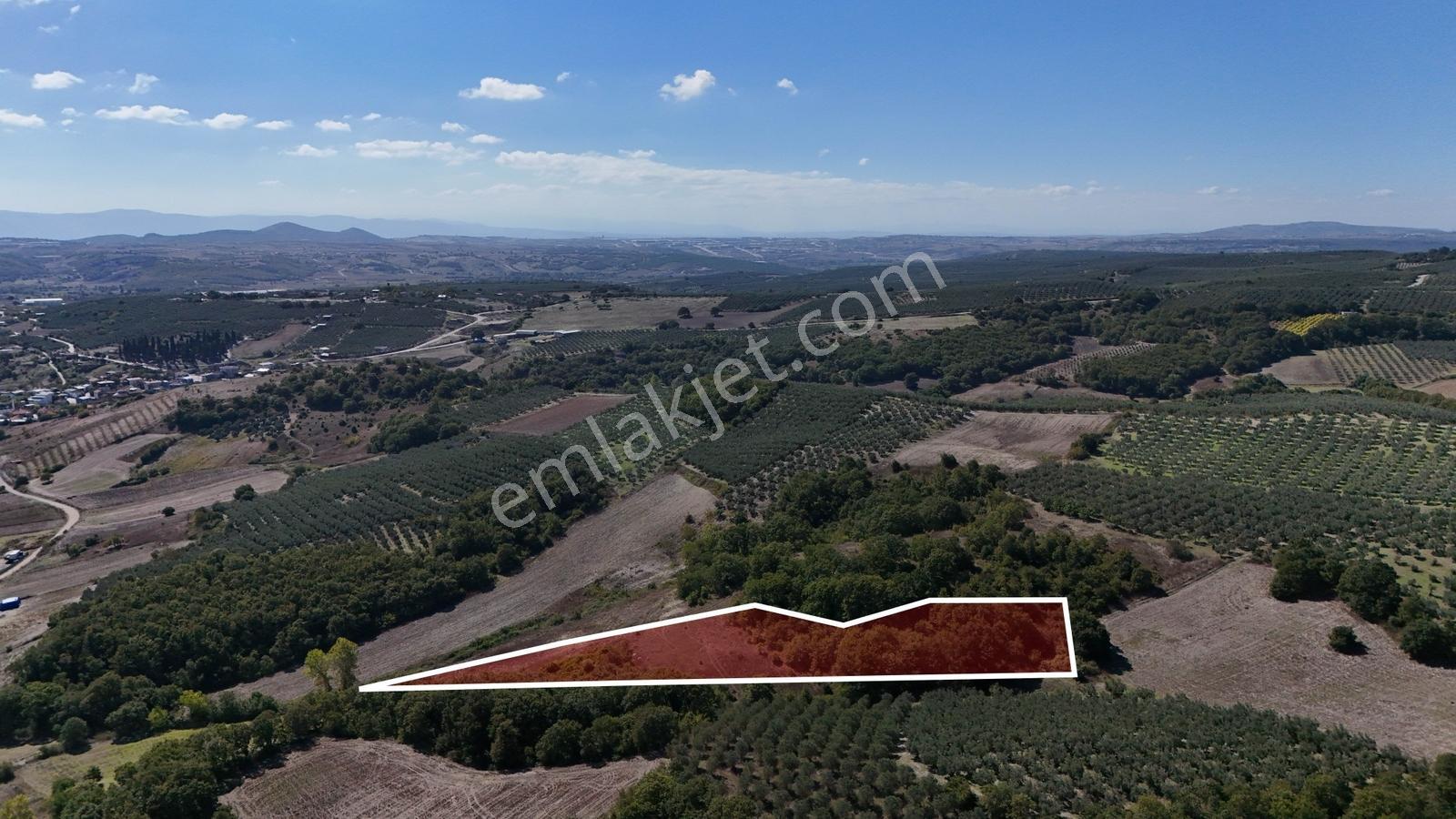 Bursa Mudanya Hançerlide 6.100 M² Satılık Tarla — fotoğraf 17