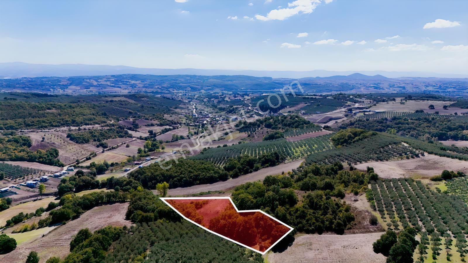 Bursa Mudanya Hançerlide 6.100 M² Satılık Tarla — fotoğraf 18