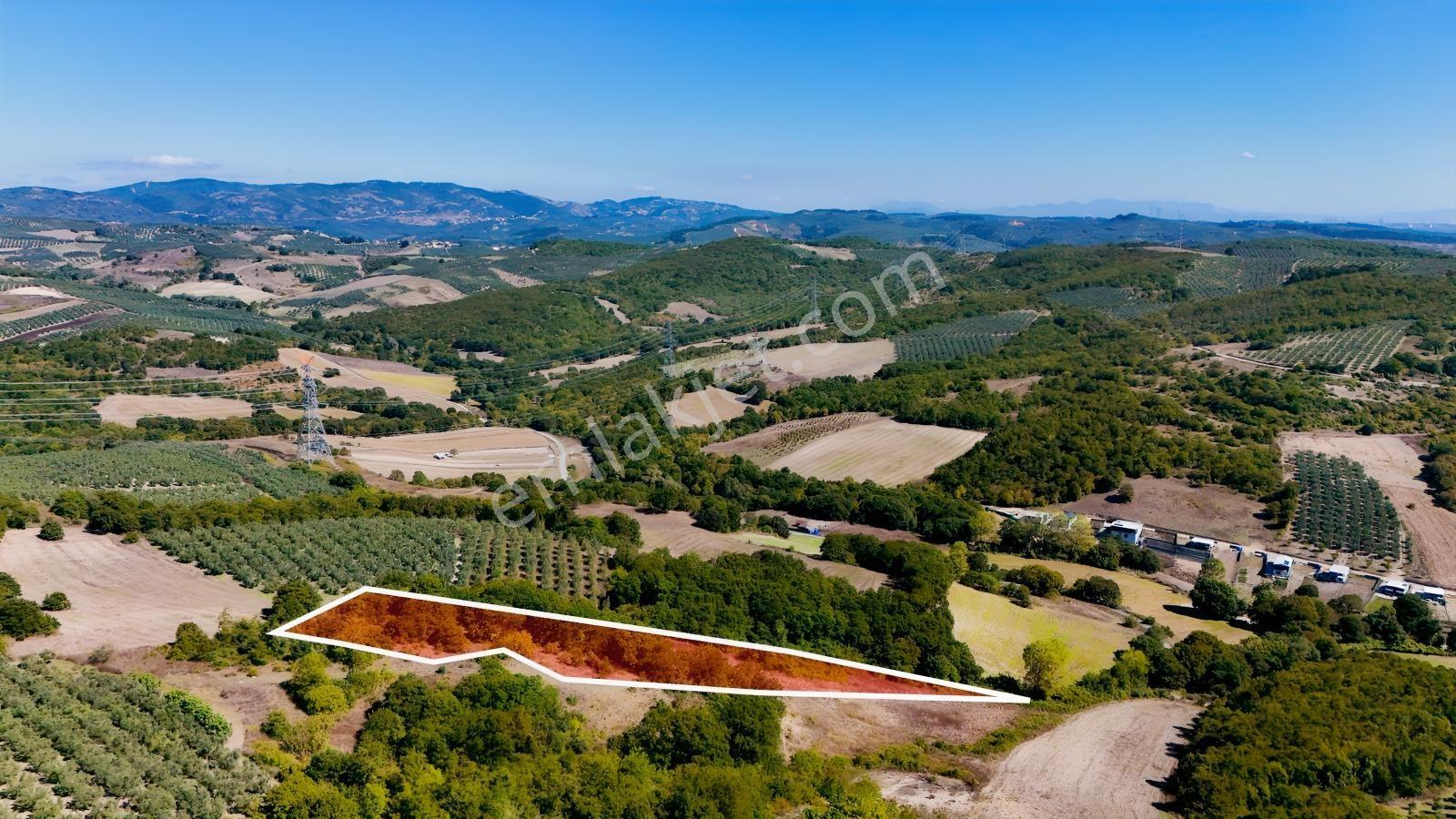 Bursa Mudanya Hançerlide 6.100 M² Satılık Tarla — fotoğraf 22