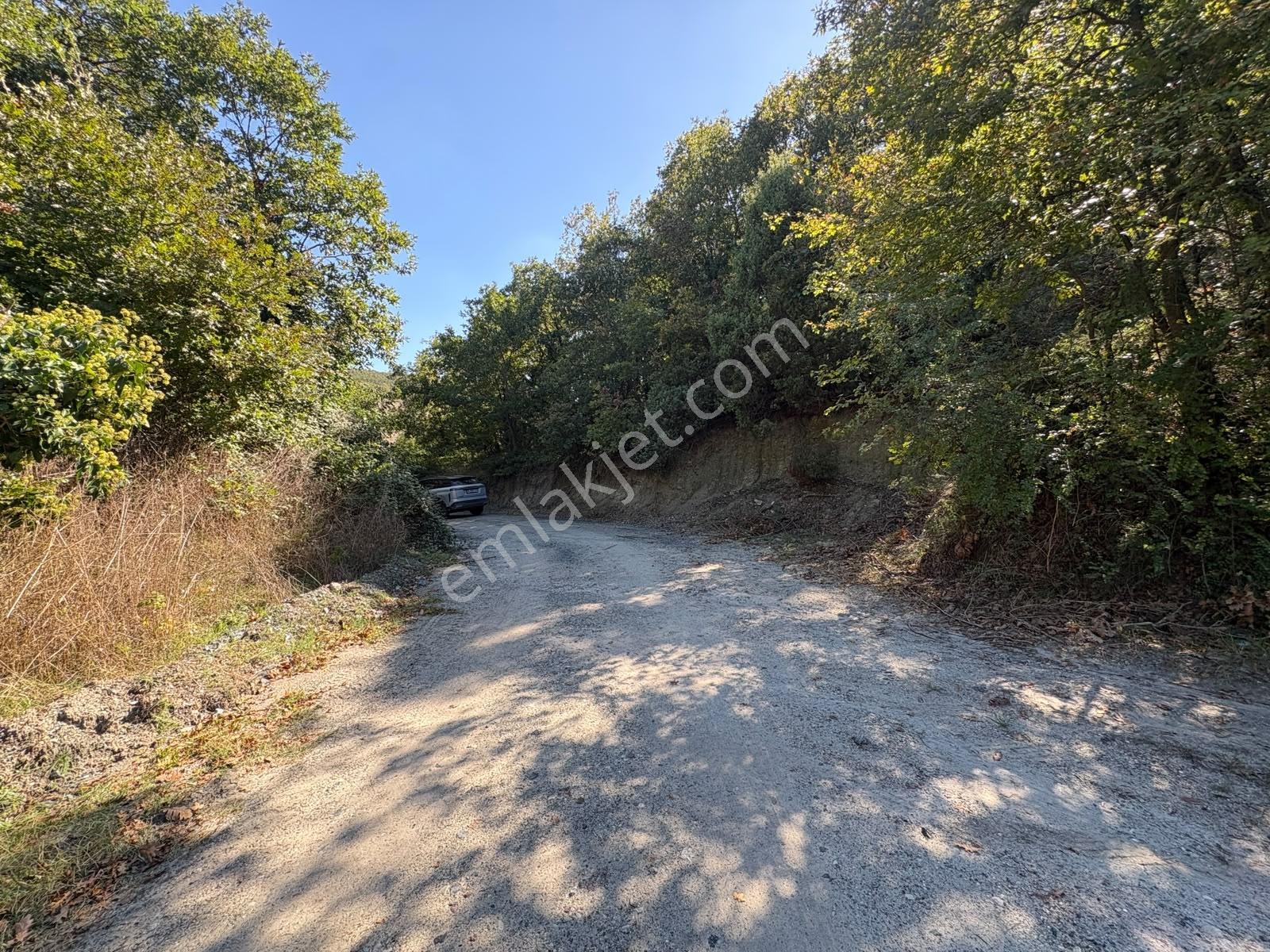 Bursa Mudanya Hançerlide 6.100 M² Satılık Tarla — fotoğraf 24