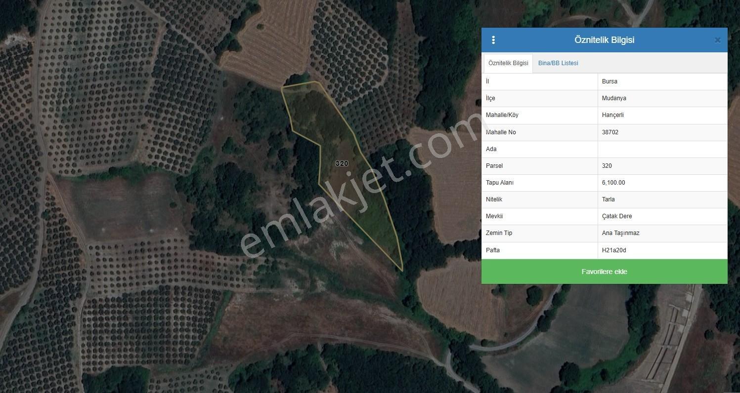 Bursa Mudanya Hançerlide 6.100 M² Satılık Tarla — fotoğraf 26