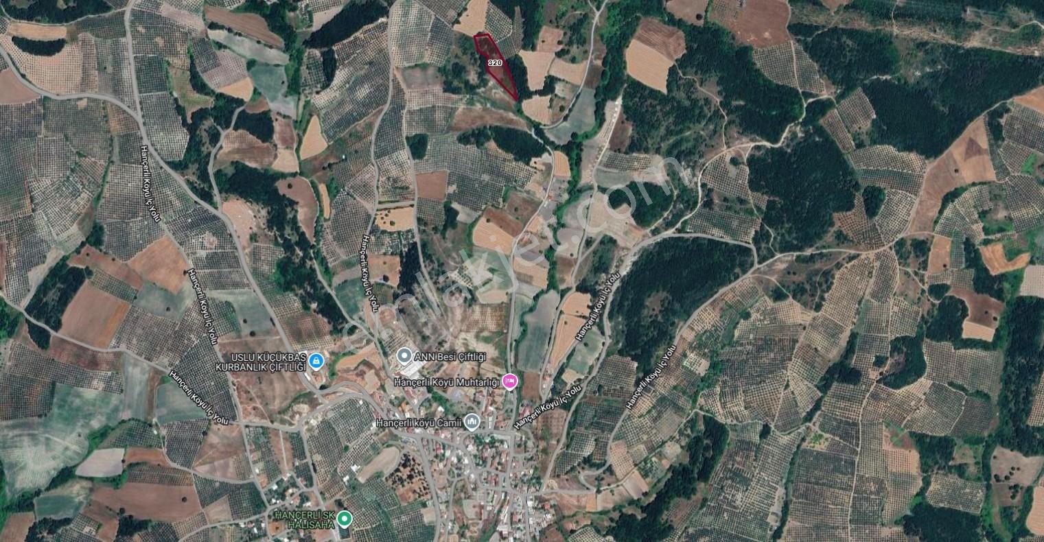 Bursa Mudanya Hançerlide 6.100 M² Satılık Tarla — fotoğraf 27