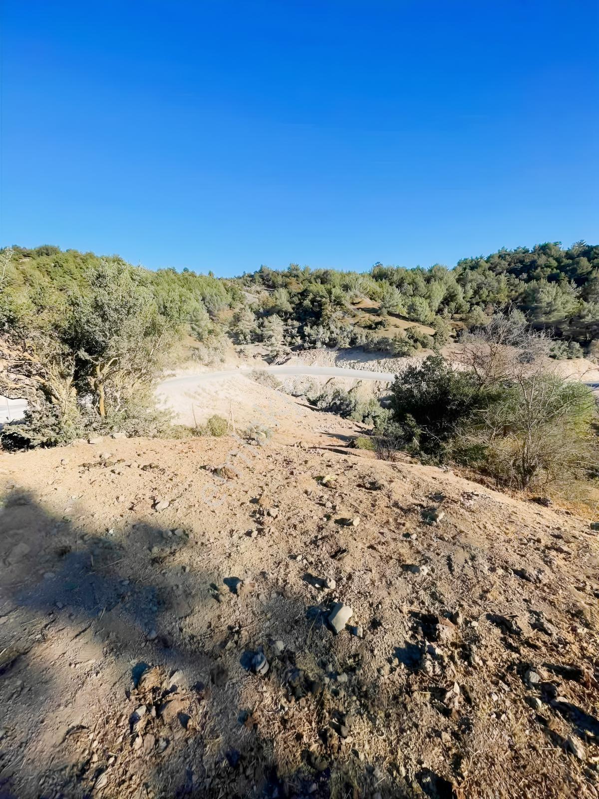 Balcity-havran Kocaseyit'de 1.745 M² Asfalta Cephe Satılık Tarla — fotoğraf 2