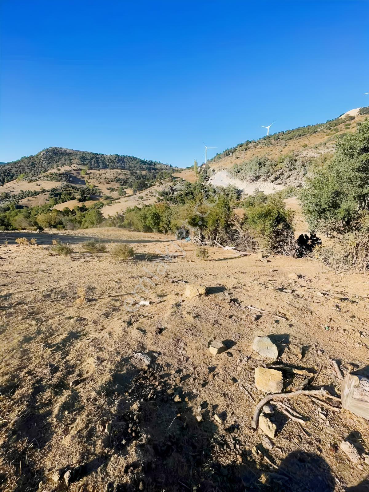 Balcity-havran Kocaseyit'de 1.745 M² Asfalta Cephe Satılık Tarla — fotoğraf 3