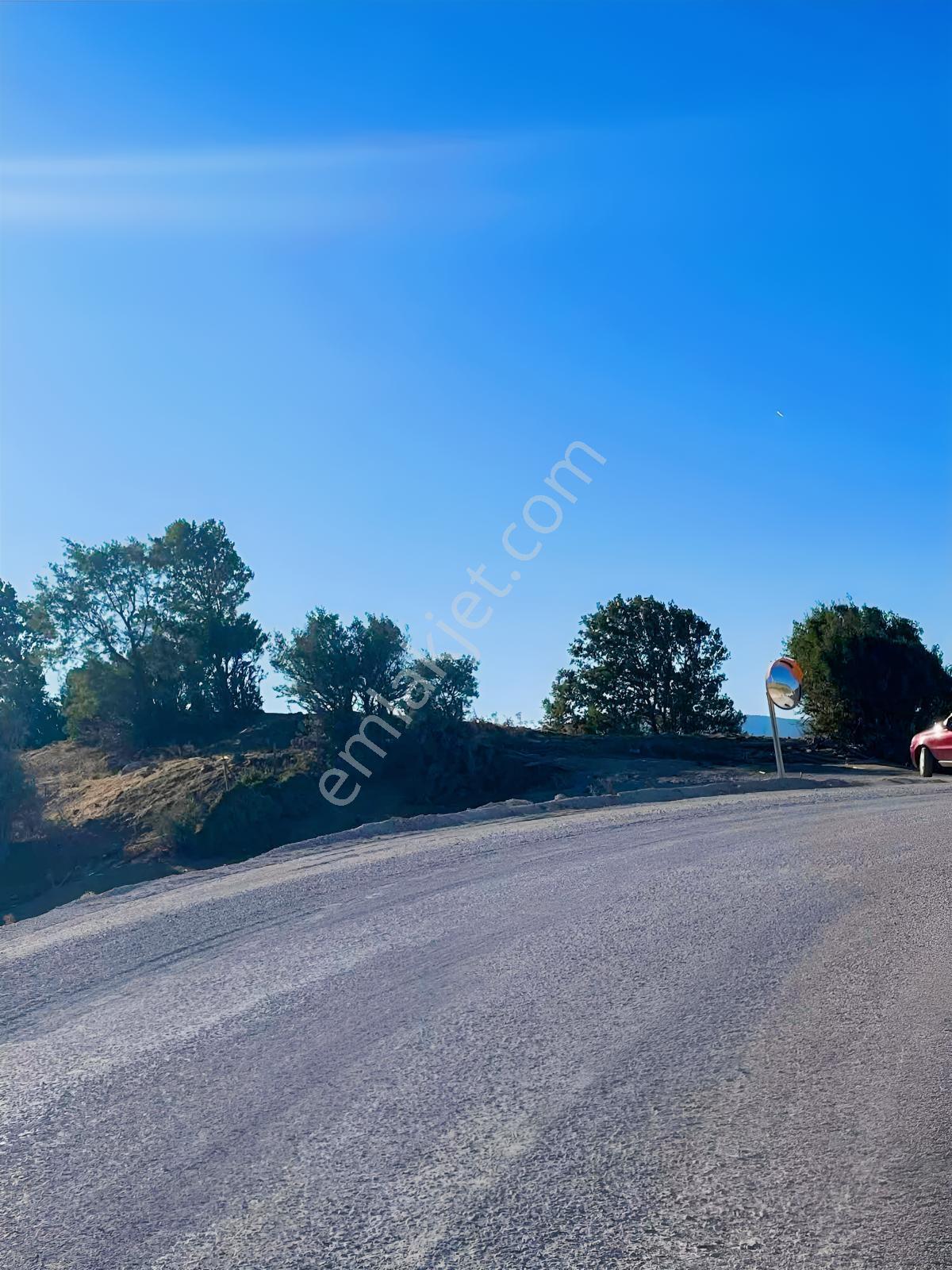 Balcity-havran Kocaseyit'de 1.745 M² Asfalta Cephe Satılık Tarla — fotoğraf 4