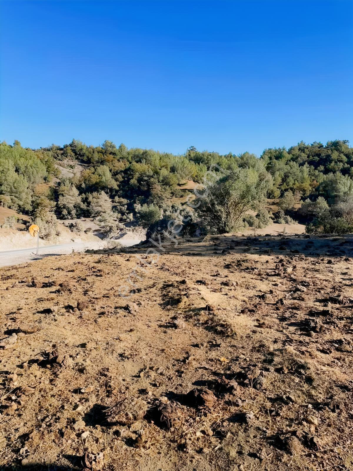 Balcity-havran Kocaseyit'de 1.745 M² Asfalta Cephe Satılık Tarla — fotoğraf 5