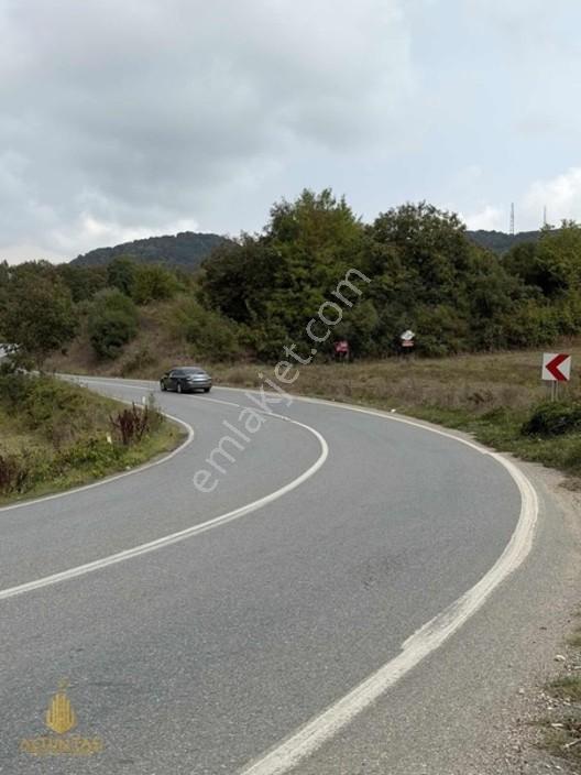 Kefken Cebeci Yolu Üzeri Asfalt Cepheli Yatırımlık Tarla — fotoğraf 2