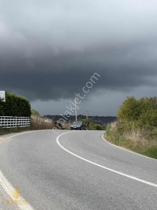 Kefken Cebeci Yolu Üzeri Asfalt Cepheli Yatırımlık Tarla — fotoğraf 3