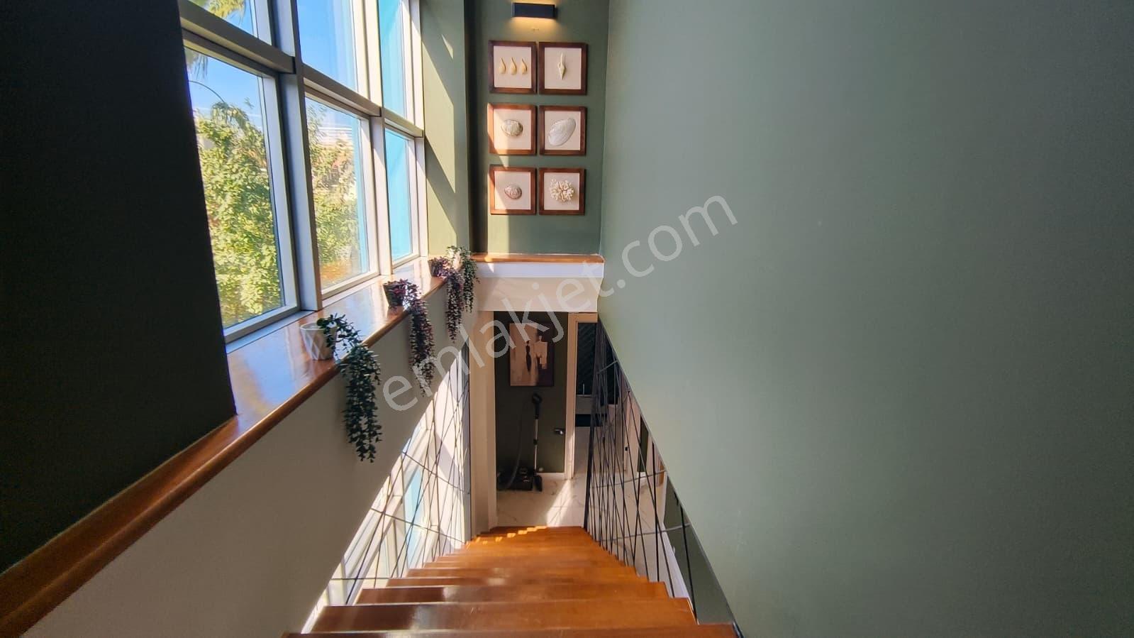 Örende 770 M² Arsada Zarafet Ve Konforu Buluşturan Özel Villa — fotoğraf 23