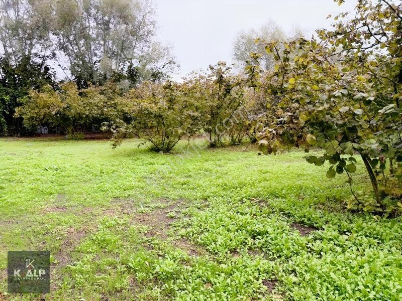 Zümrüt Mahallesinde 14.410 M2 Fındık Bahçesi — fotoğraf 2