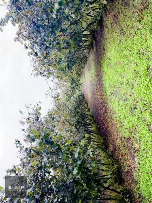 Zümrüt Mahallesinde 14.410 M2 Fındık Bahçesi — fotoğraf 4