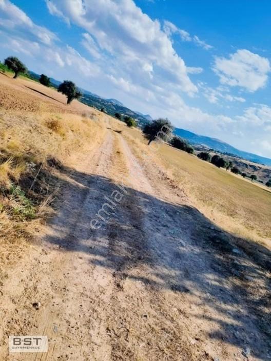 Kızılören De Satılık 4392 M2 Müstakil Tarla — fotoğraf 4
