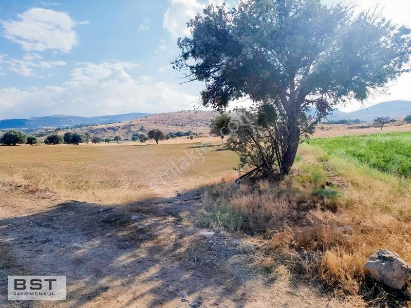 Kızılören De Satılık 4392 M2 Müstakil Tarla — fotoğraf 5