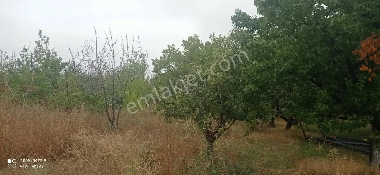 Ereğli Çimencik Mahallesi 5749 M² Satılık Bahçe — fotoğraf 5