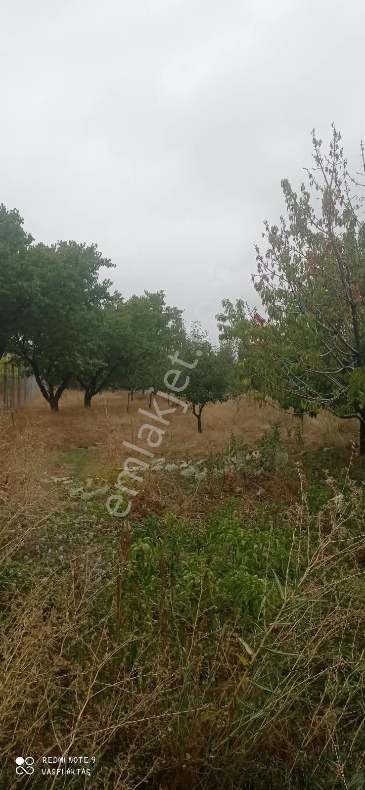 Ereğli Çimencik Mahallesi 5749 M² Satılık Bahçe — fotoğraf 8