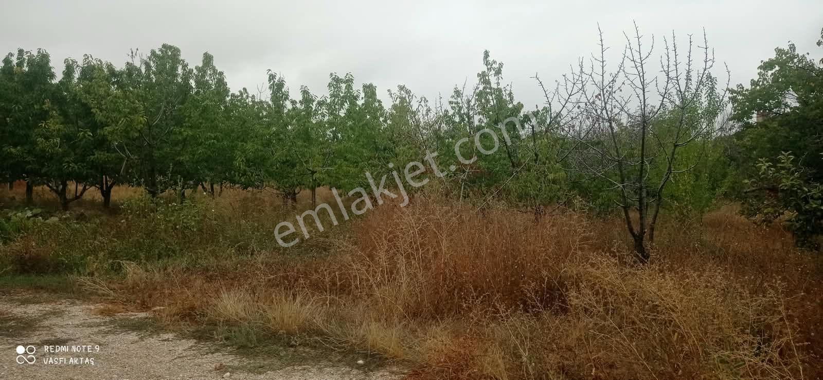 Ereğli Çimencik Mahallesi 5749 M² Satılık Bahçe — fotoğraf 10