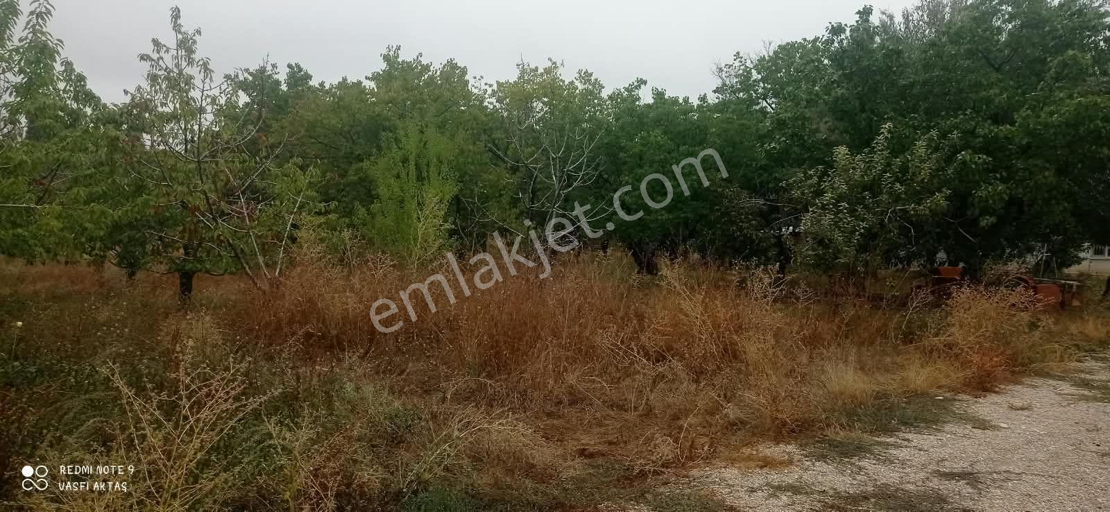 Ereğli Çimencik Mahallesi 5749 M² Satılık Bahçe — fotoğraf 12