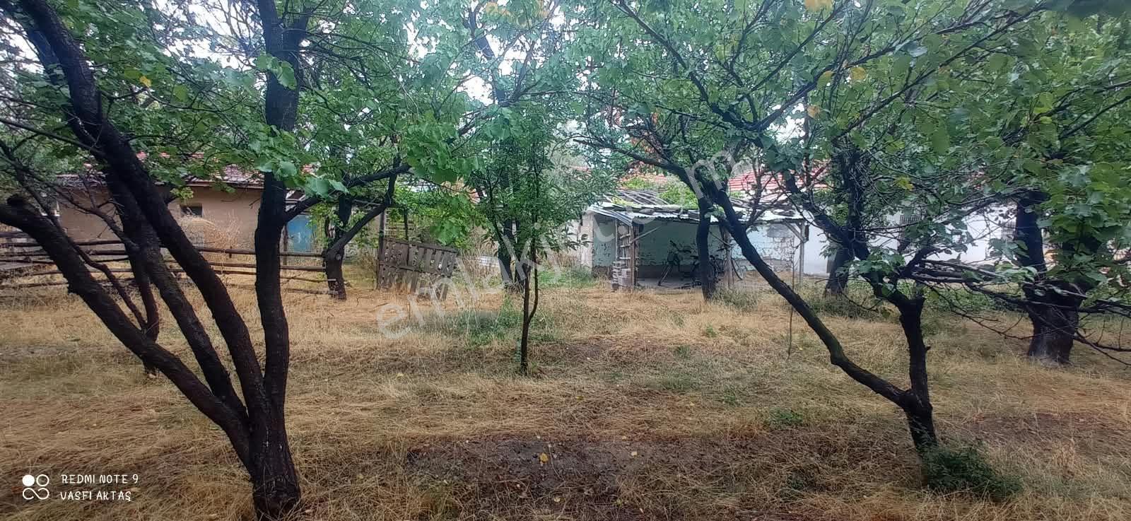 Ereğli Çimencik Mahallesi 5749 M² Satılık Bahçe — fotoğraf 14