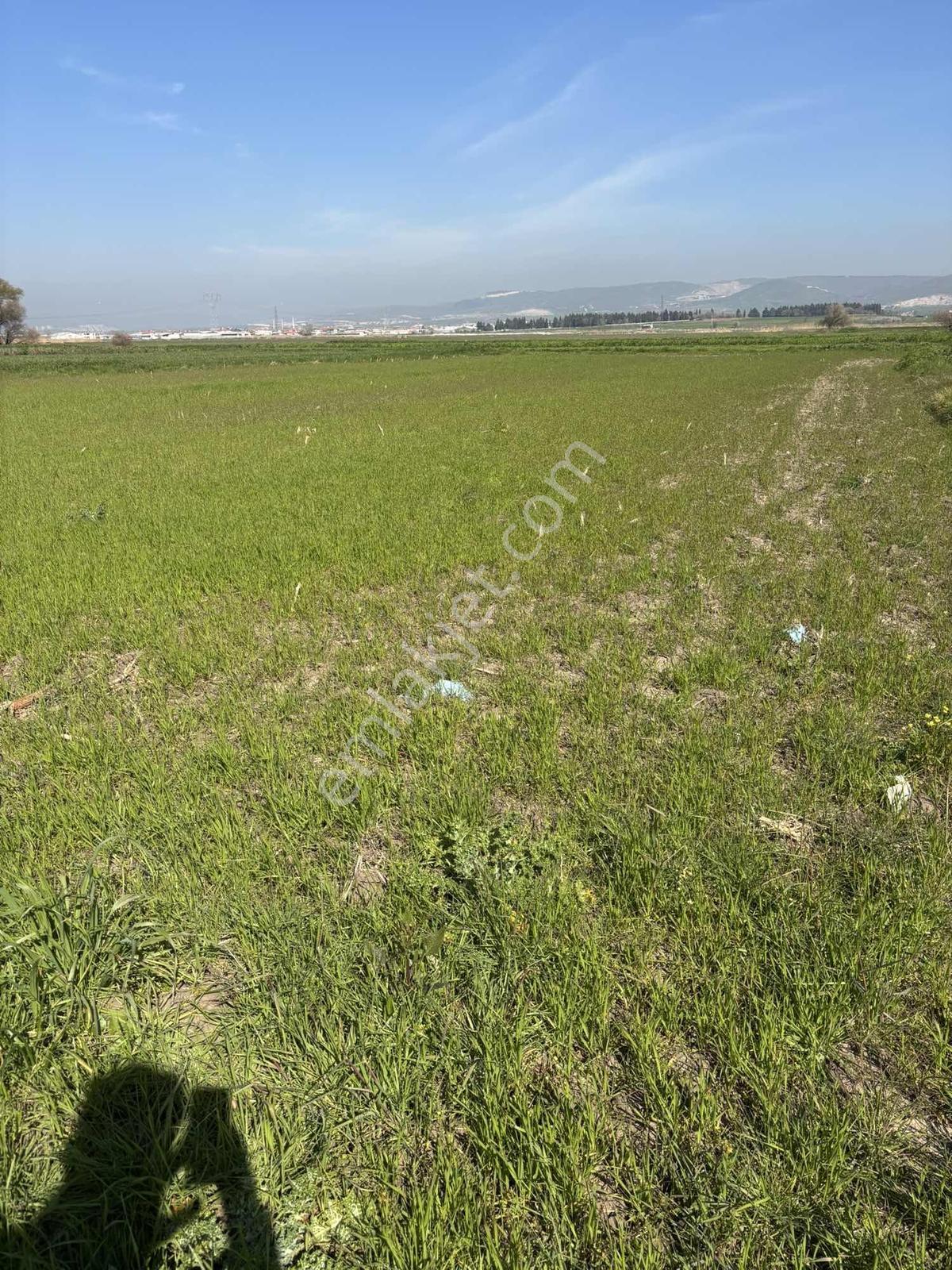 Balcity-altıeylül/karaman Mah.yanyana 2 Adet Tek Tapu-tek Fiyat — fotoğraf 13