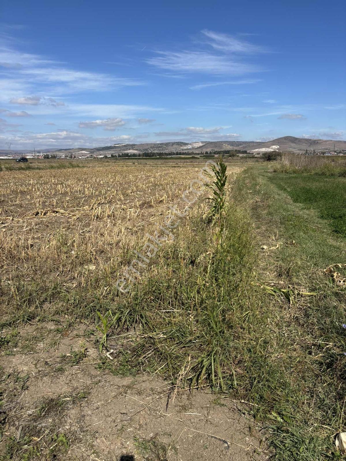Balcity-altıeylül/karaman Mah.yanyana 2 Adet Tek Tapu-tek Fiyat — fotoğraf 14