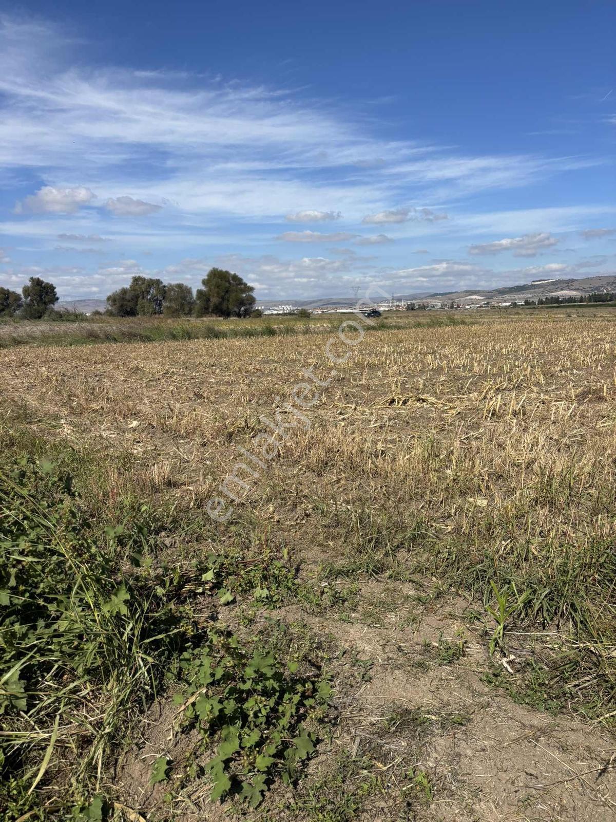 Balcity-altıeylül/karaman Mah.yanyana 2 Adet Tek Tapu-tek Fiyat — fotoğraf 15