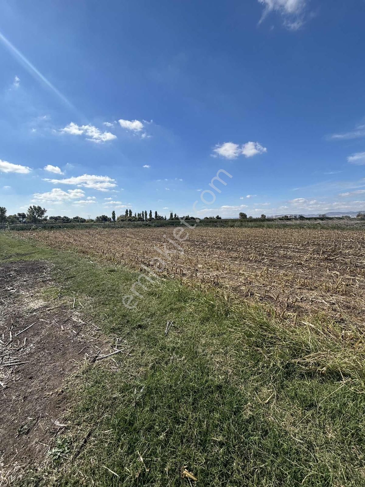 Balcity-altıeylül/karaman Mah.yanyana 2 Adet Tek Tapu-tek Fiyat — fotoğraf 20
