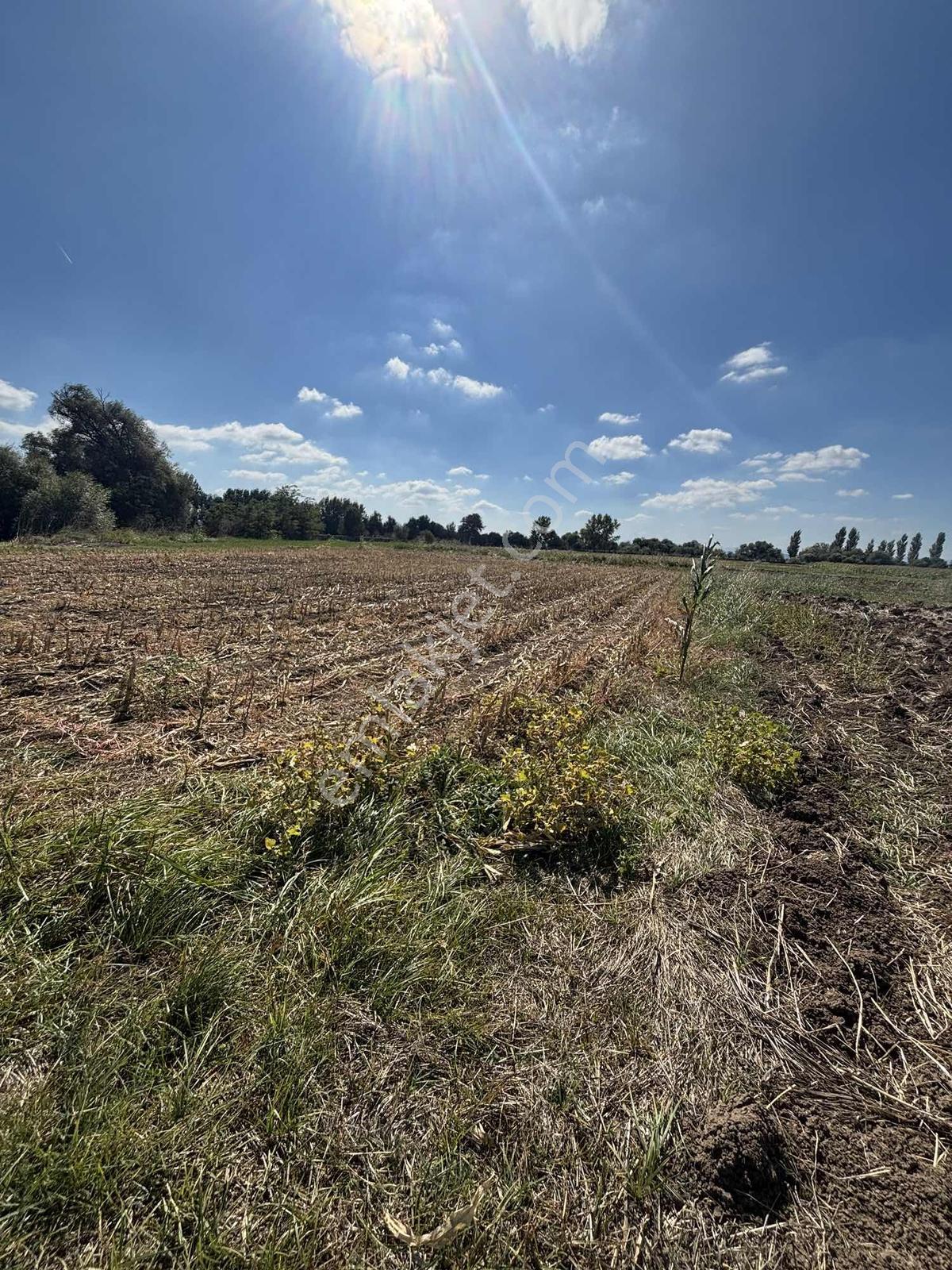 Balcity-altıeylül/karaman Mah.yanyana 2 Adet Tek Tapu-tek Fiyat — fotoğraf 25