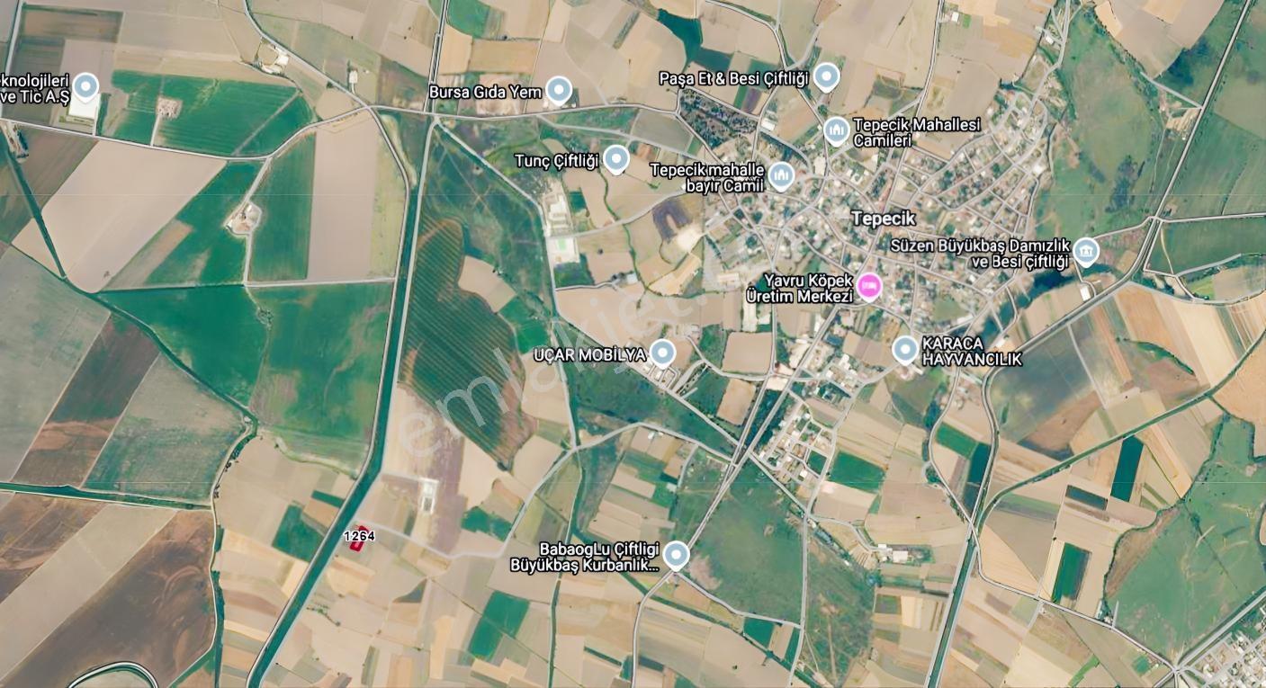 M.kemalpaşa Tepecik | Köye Yakın 1.721 M² Tek Tapu Tarla — fotoğraf 5