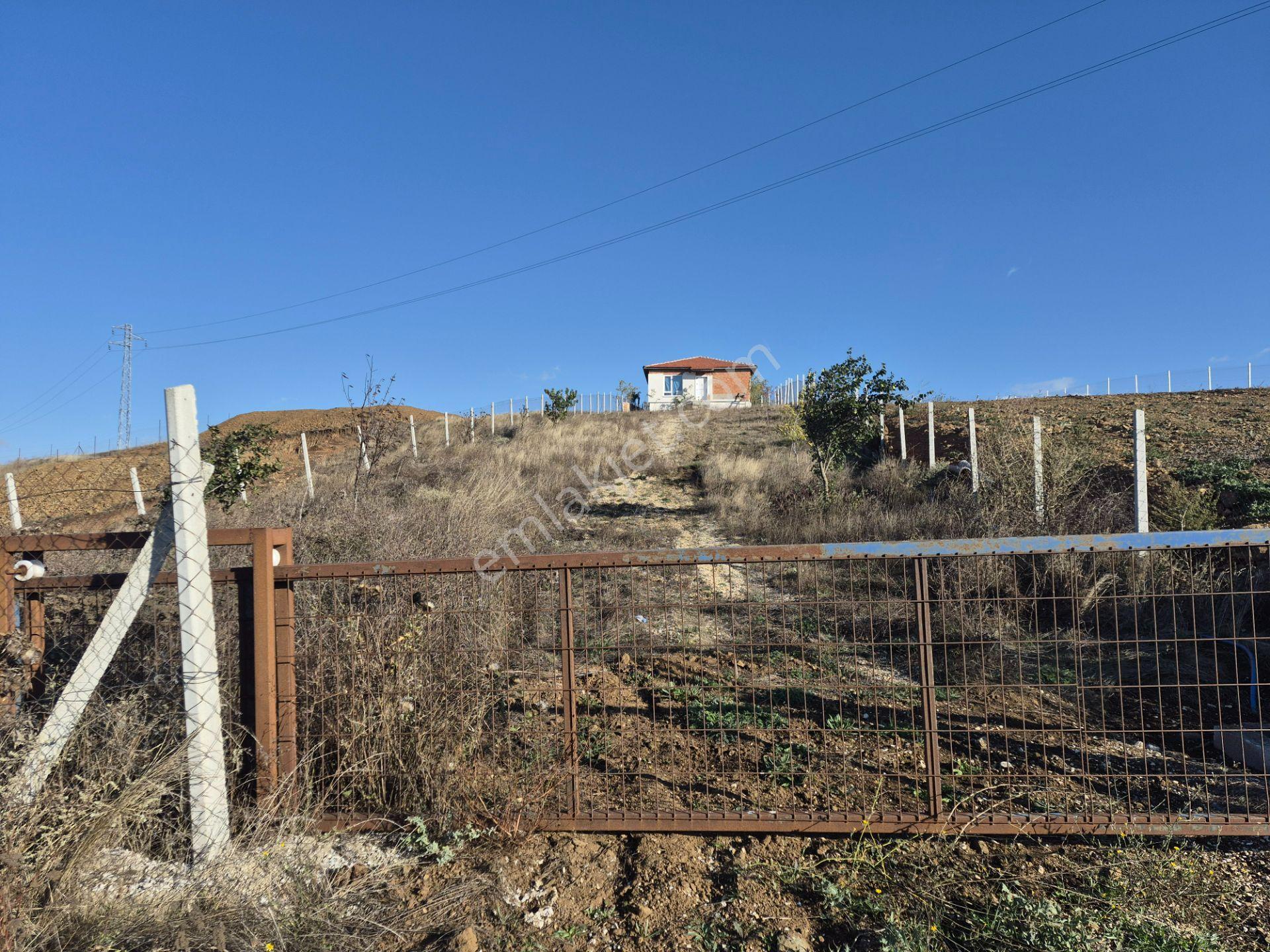 Century 21 Vizyon'dan Sulukaraağaç’ta Satılık Ev Ve Tarla — fotoğraf 4