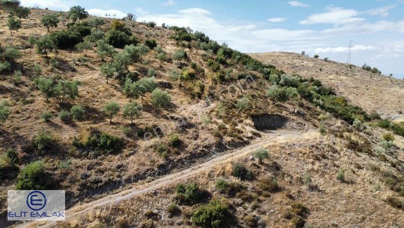 Aydın Efeler Gölhisarda Satılık Hisseli Arazi — fotoğraf 3