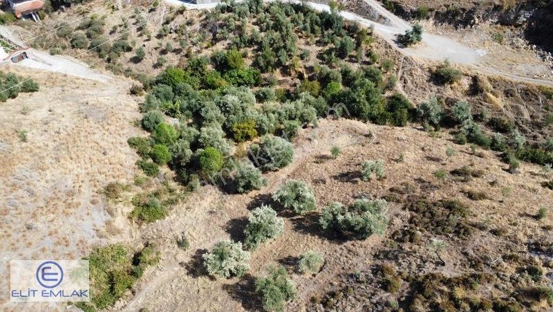 Aydın Efeler Gölhisarda Satılık Hisseli Arazi — fotoğraf 6