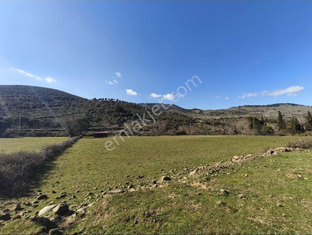 Satılık Fırsat Arazi 27.900 M² — fotoğraf 3