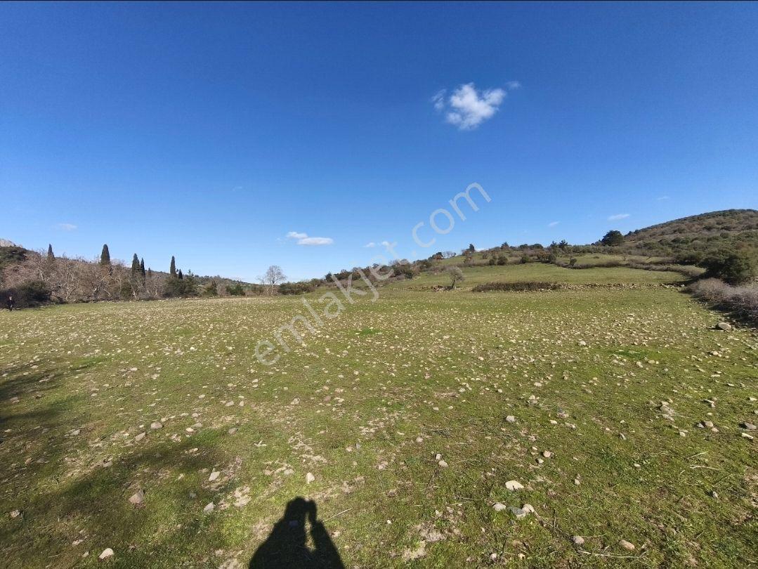 Satılık Fırsat Arazi 27.900 M² — fotoğraf 6