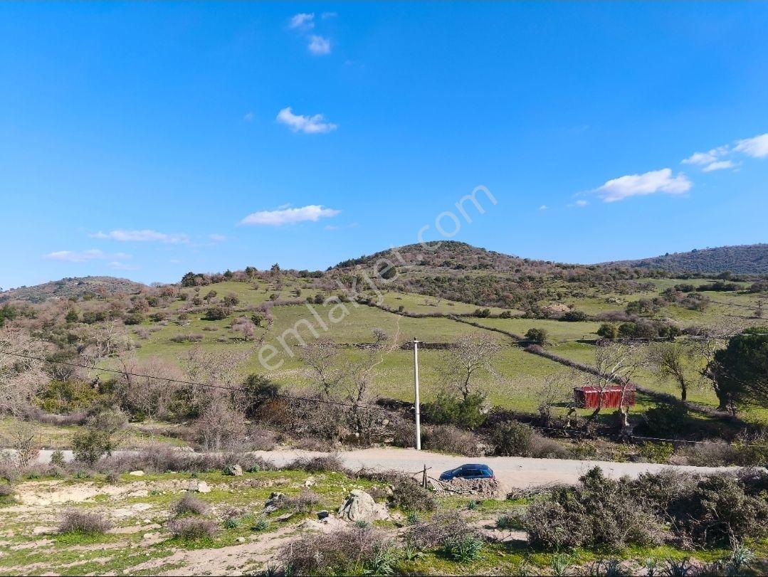 Satılık Fırsat Arazi 27.900 M² — fotoğraf 7
