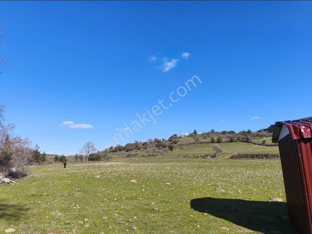 Satılık Fırsat Arazi 27.900 M² — fotoğraf 8