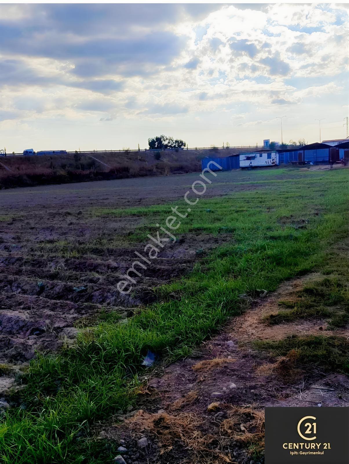 Tepecikte Tarla — fotoğraf 3