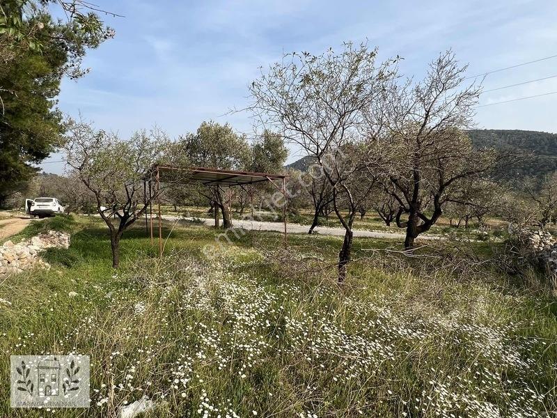 Marinden Yaka Mahallesinde Palamutbükü-datça Yolunda Arazi — fotoğraf 2