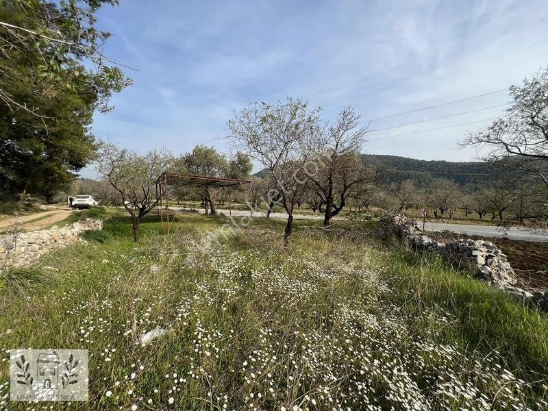 Marinden Yaka Mahallesinde Palamutbükü-datça Yolunda Arazi — fotoğraf 4