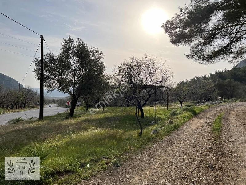 Marinden Yaka Mahallesinde Palamutbükü-datça Yolunda Arazi — fotoğraf 6