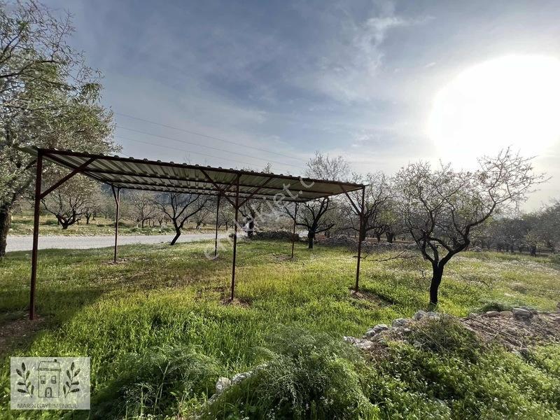 Marinden Yaka Mahallesinde Palamutbükü-datça Yolunda Arazi — fotoğraf 8