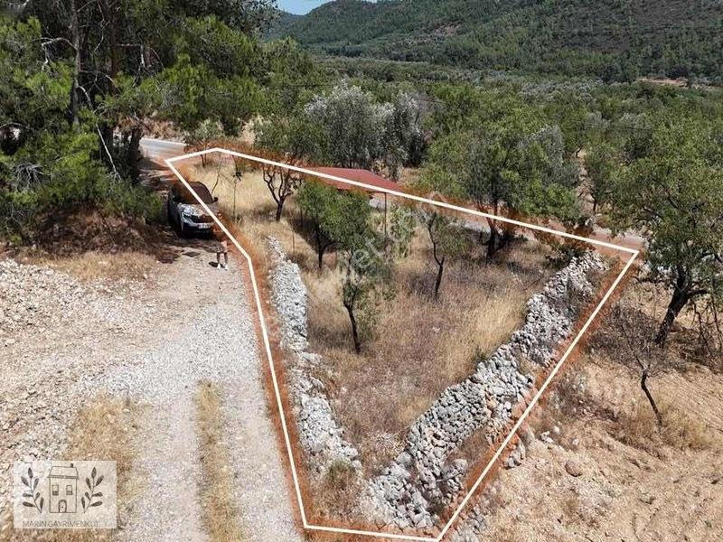 Marinden Yaka Mahallesinde Palamutbükü-datça Yolunda Arazi — fotoğraf 10