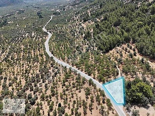Marinden Yaka Mahallesinde Palamutbükü-datça Yolunda Arazi — fotoğraf 13