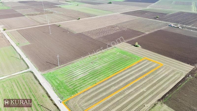İzmir Menderes Tekelide 4644 M2 1/2 Hisseli Asalt Yol Cepheli