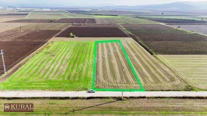 İzmir Menderes Tekelide 4644 M2 1/2 Hisseli Asalt Yol Cepheli — fotoğraf 2