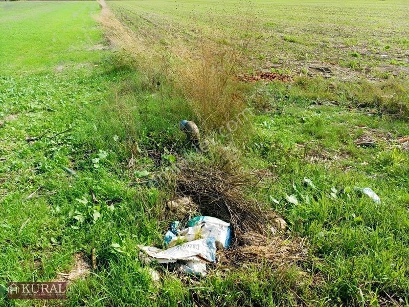 İzmir Menderes Tekelide 4644 M2 1/2 Hisseli Asalt Yol Cepheli — fotoğraf 3