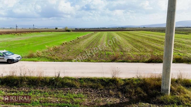 İzmir Menderes Tekelide 4644 M2 1/2 Hisseli Asalt Yol Cepheli — fotoğraf 4