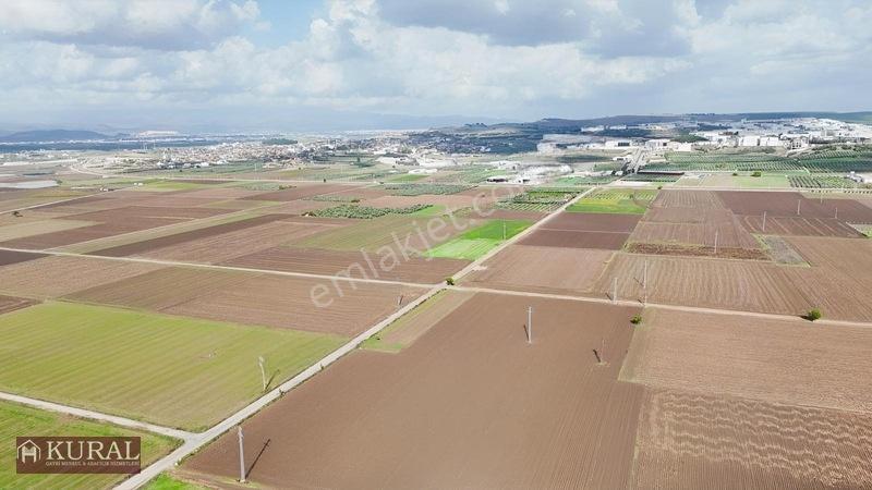 İzmir Menderes Tekelide 4644 M2 1/2 Hisseli Asalt Yol Cepheli — fotoğraf 6